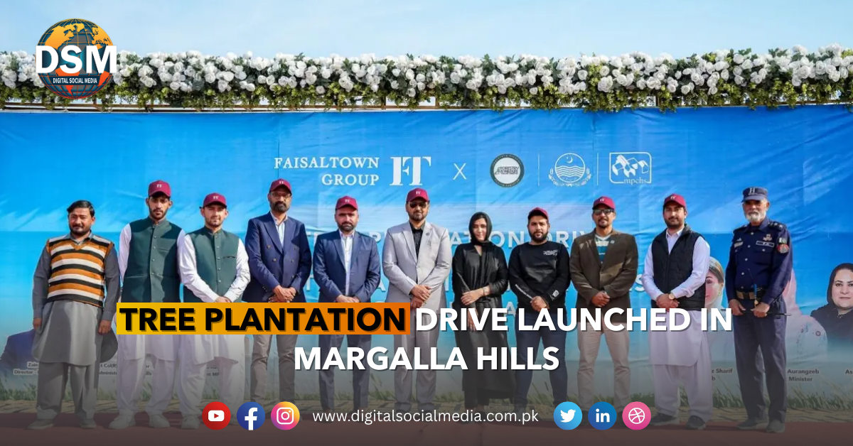 Plantation